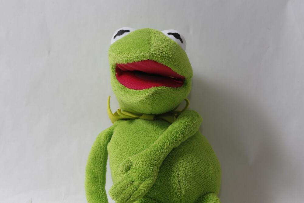 The Muppets Kermit the Frog Medium Plush Jim Henson Collectible ~ 260917-WH 810